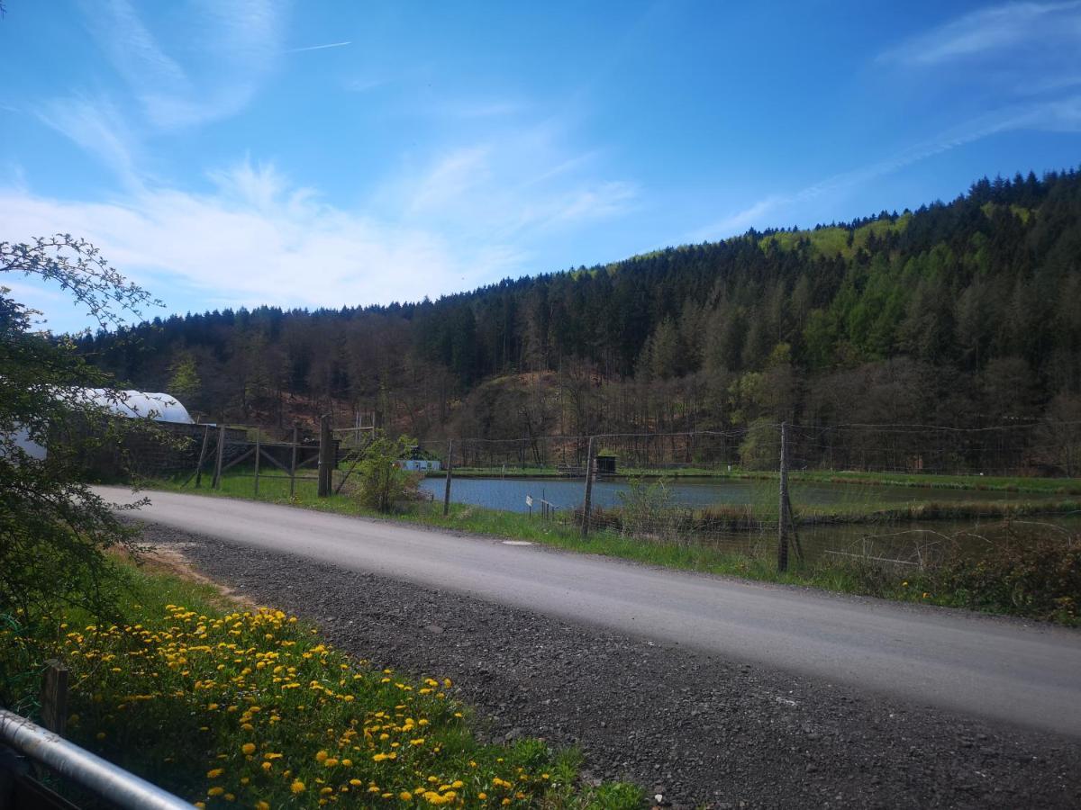 Ferienhaus Salmtal Himmerod Großlittgen Zewnętrze zdjęcie