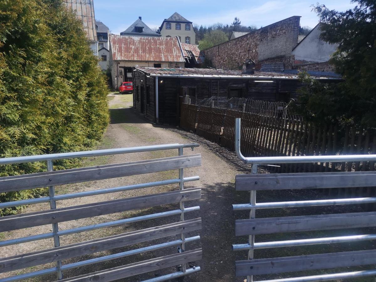 Ferienhaus Salmtal Himmerod Großlittgen Zewnętrze zdjęcie