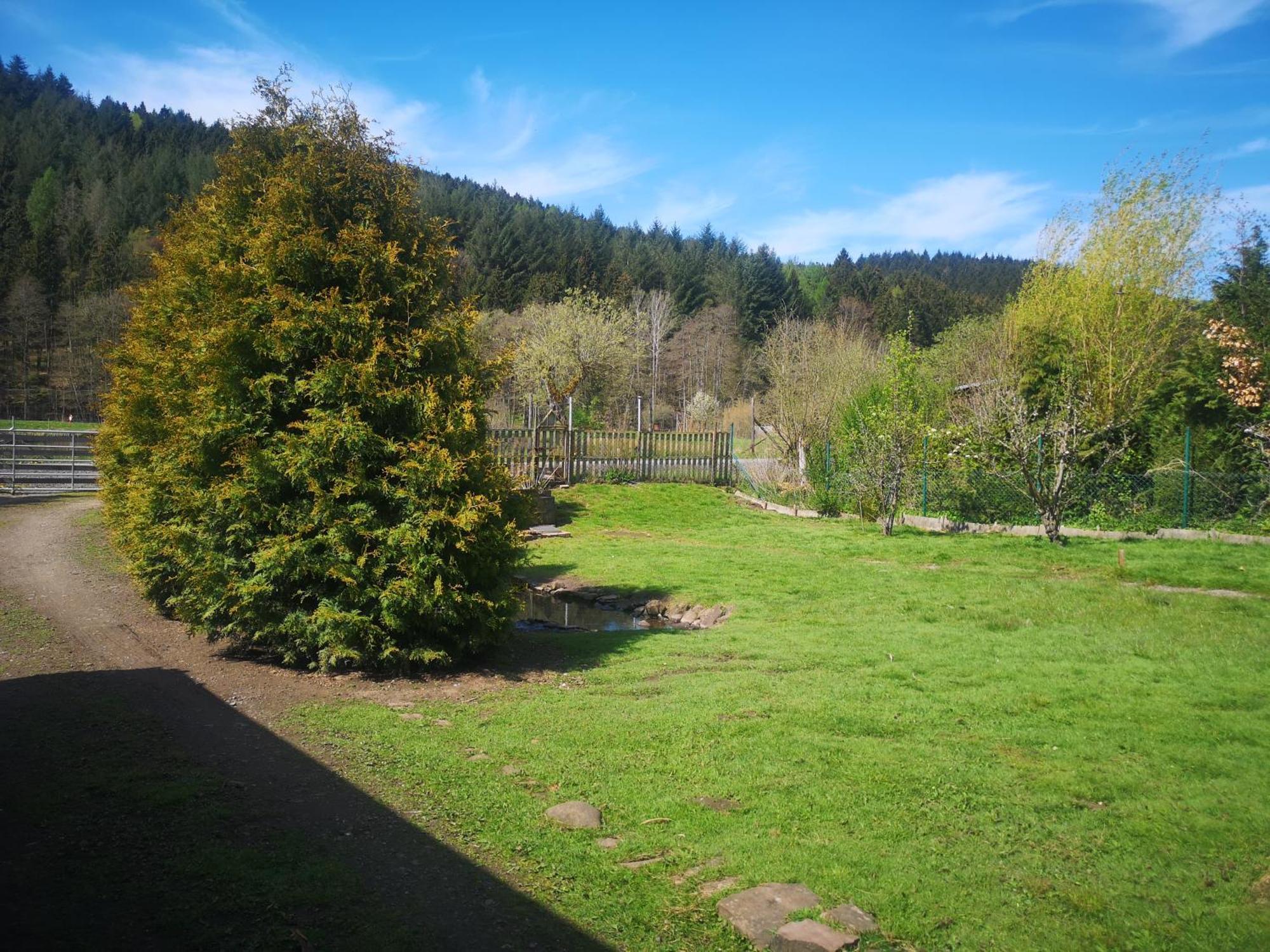 Ferienhaus Salmtal Himmerod Großlittgen Zewnętrze zdjęcie
