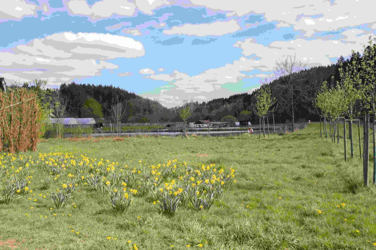 Ferienhaus Salmtal Himmerod Großlittgen Zewnętrze zdjęcie