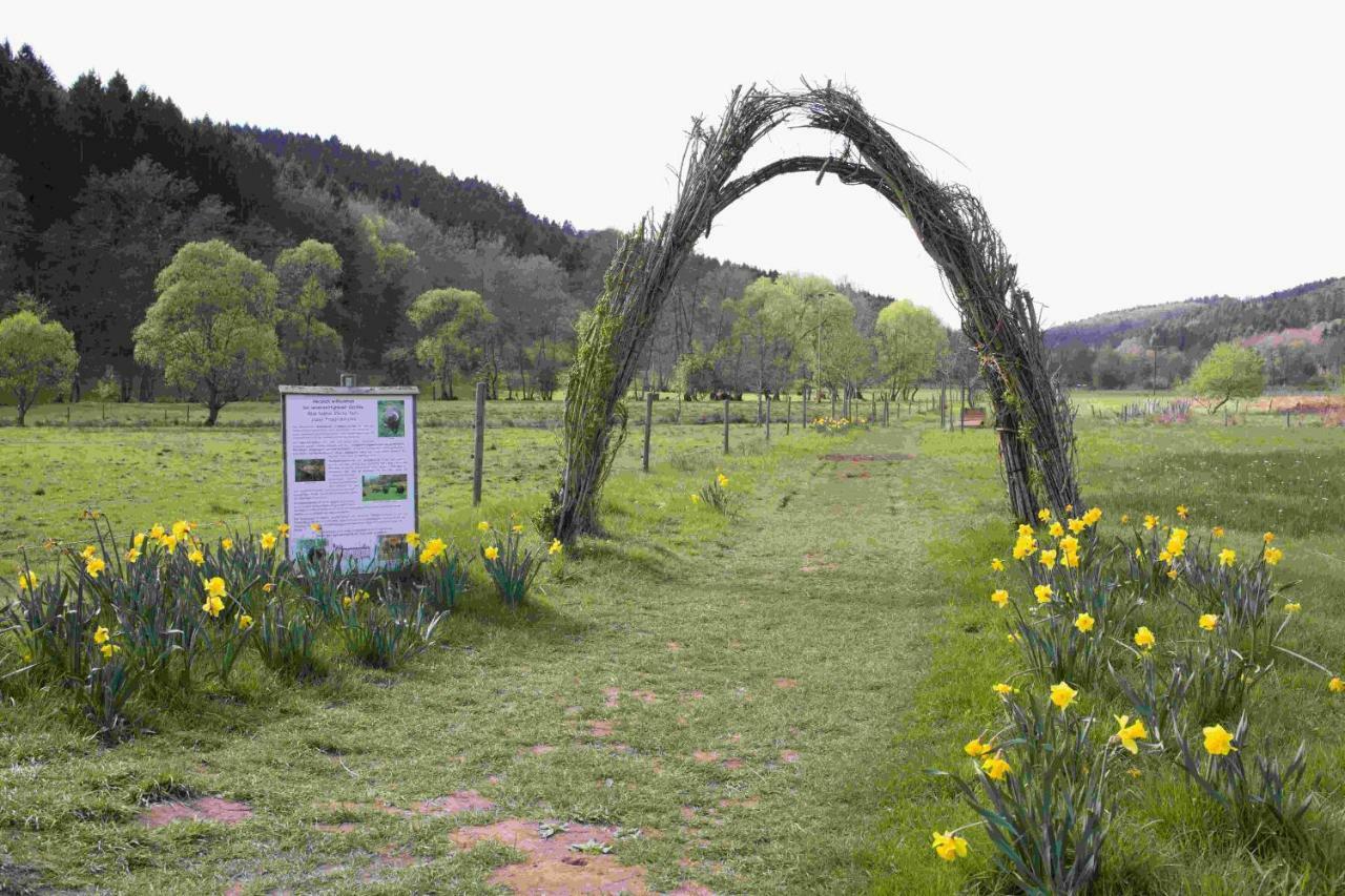 Ferienhaus Salmtal Himmerod Großlittgen Zewnętrze zdjęcie