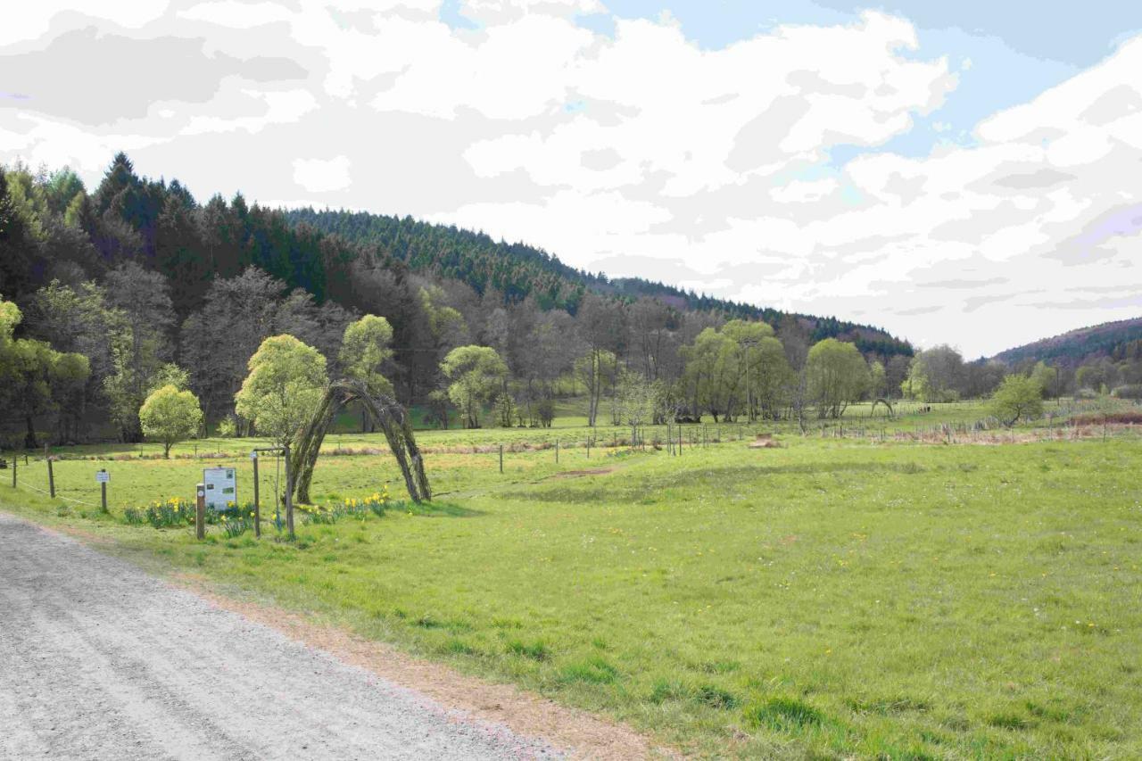Ferienhaus Salmtal Himmerod Großlittgen Zewnętrze zdjęcie